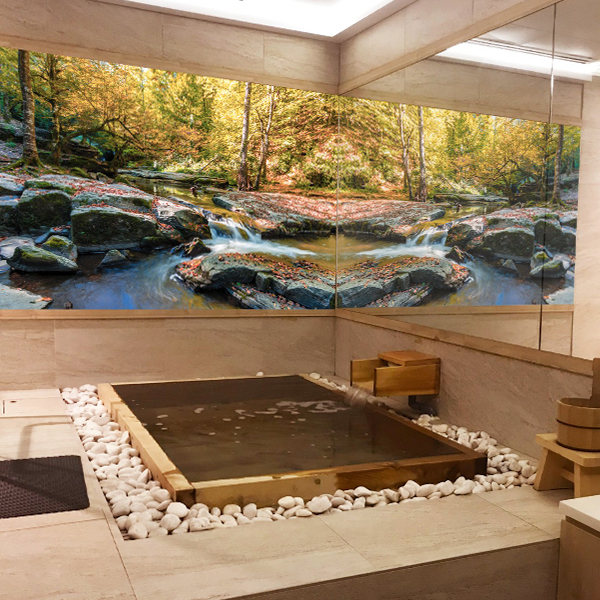 Elements Wellness Couple Onsen promotion 2022