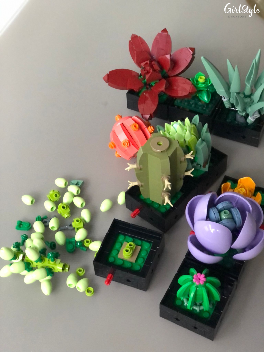 Assembling the LEGO Botanical Collection - Succulents