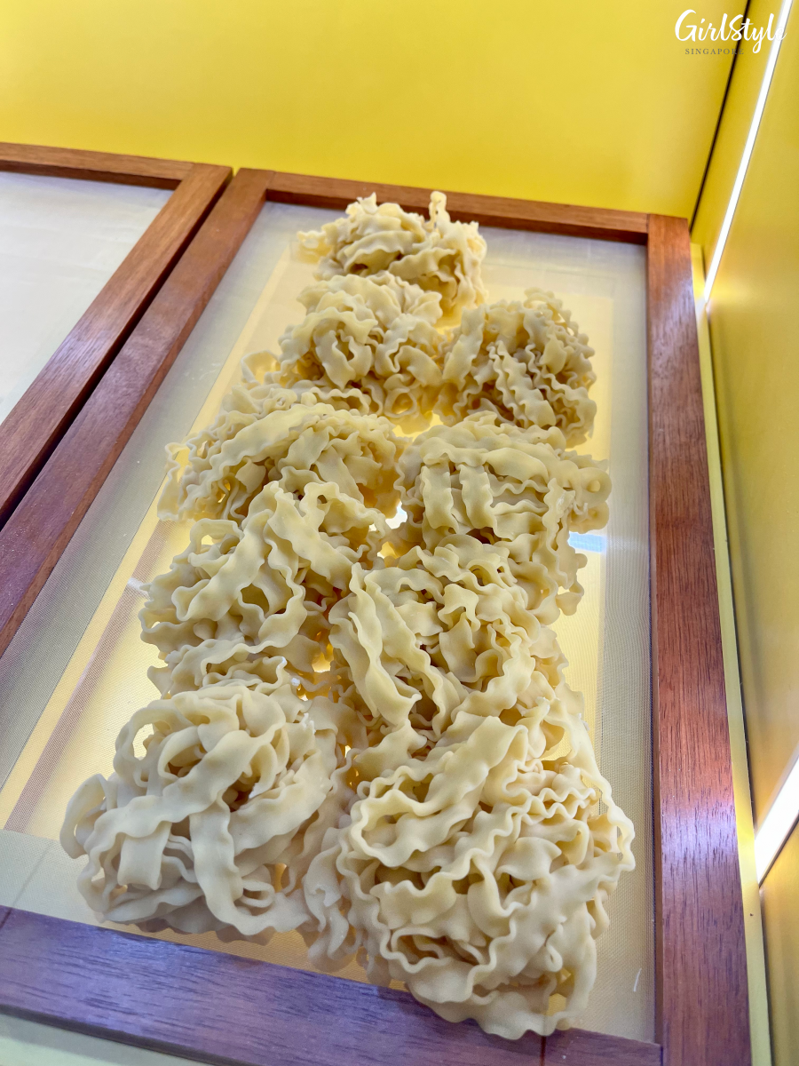 Freshly made pasta - Pastago JCube