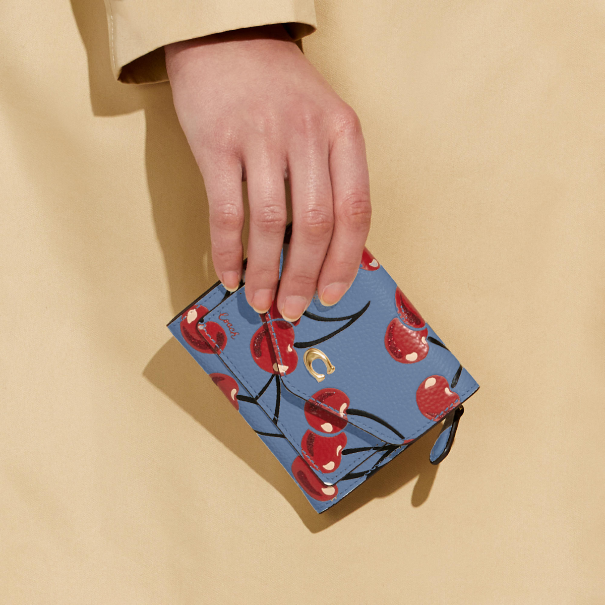 Coach Wyn Small Wallet With Cherry Print