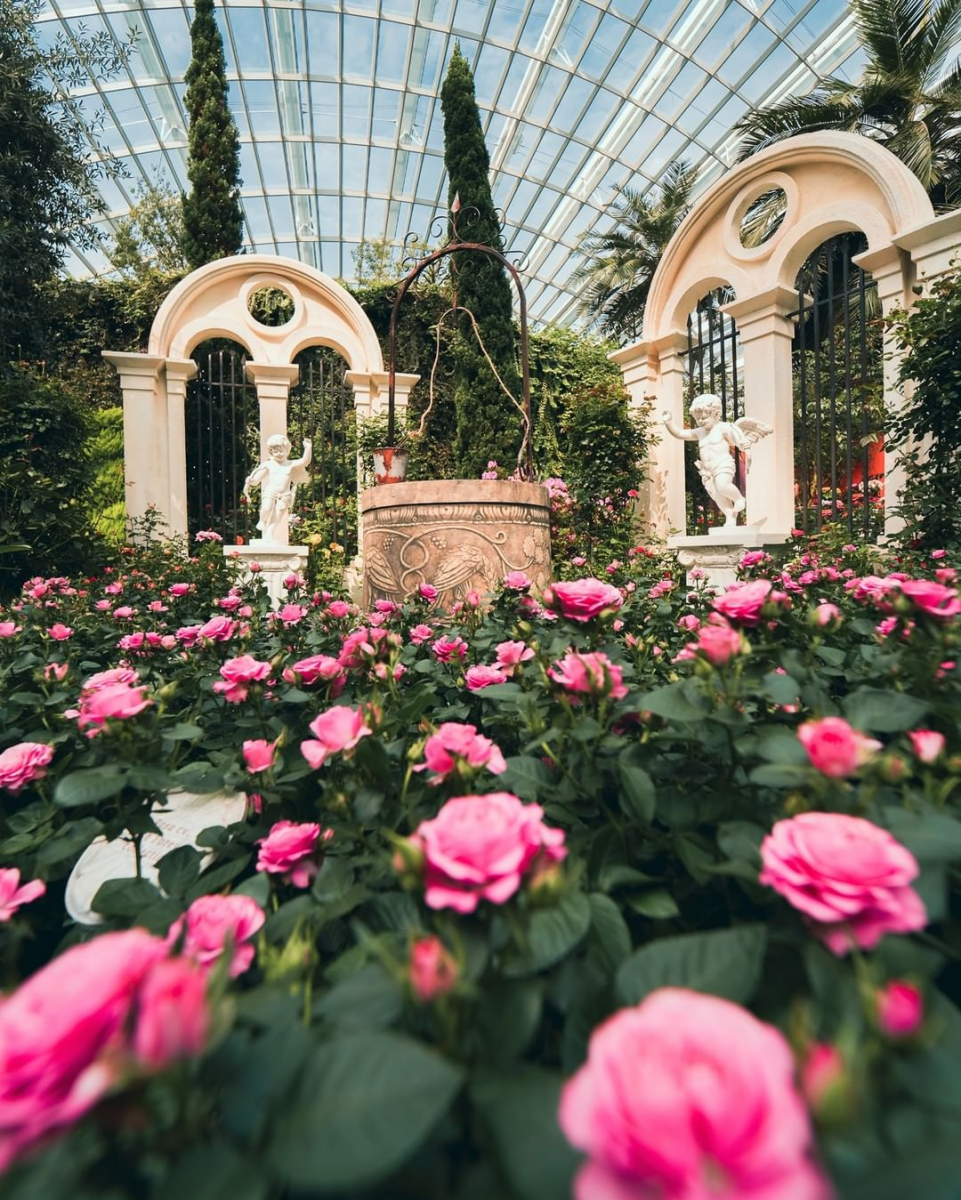 Rose Romance Gardens by the Bay