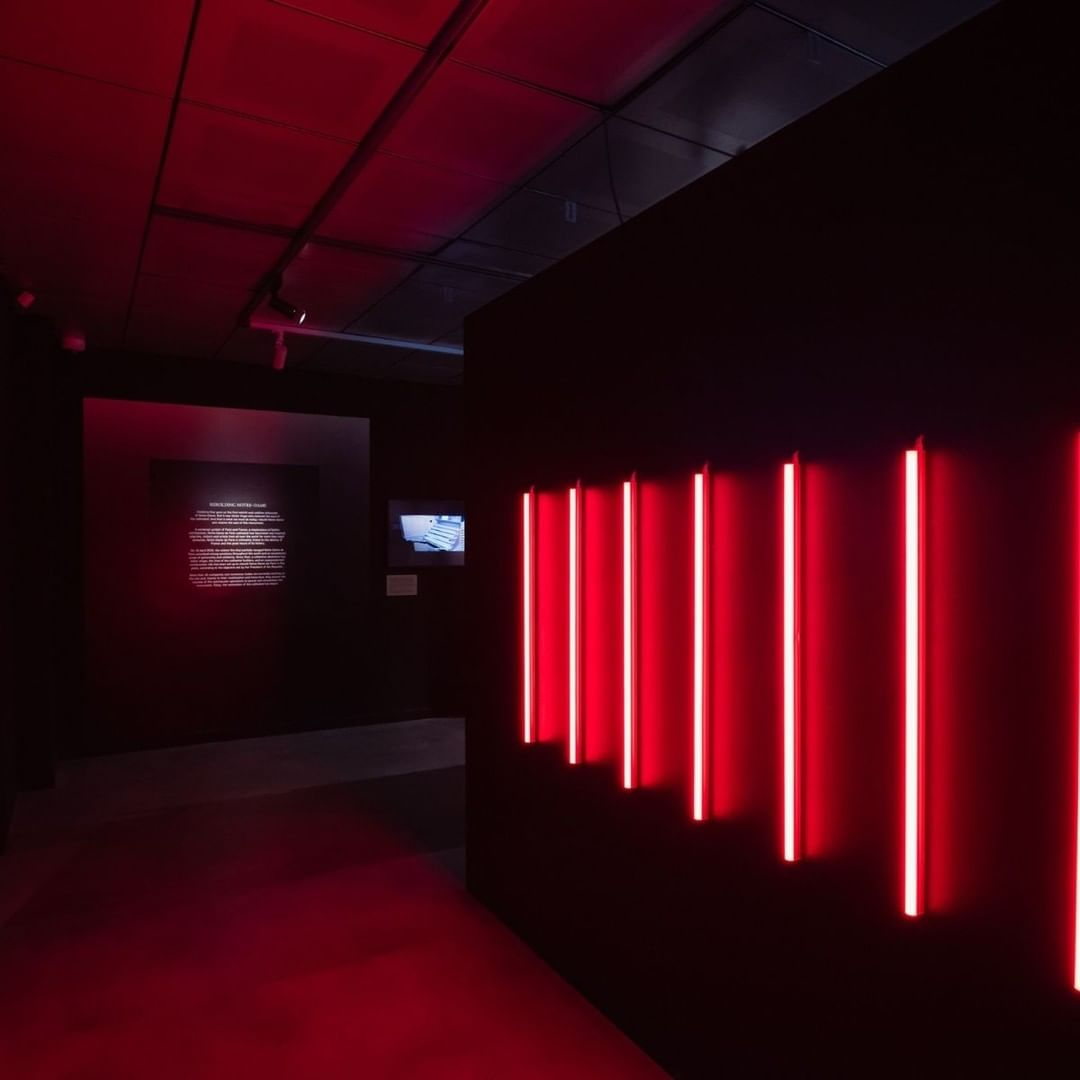 (Re)births: Notre-Dame de Paris 