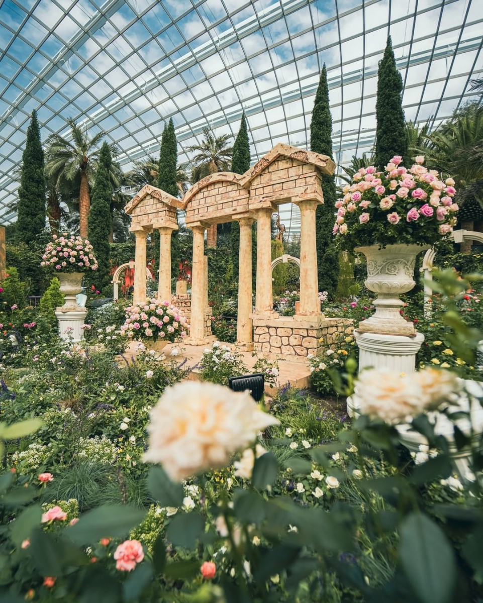 Rose Romance Gardens by the Bay