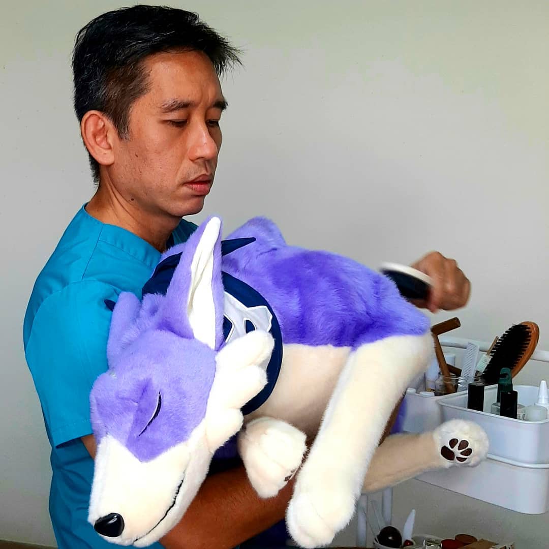 Soft Toy Hospital