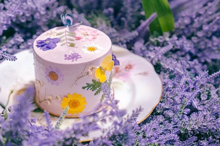 The Almond Sponge - Alice in Wonderland-themed cake at The Grounds of Alexandria