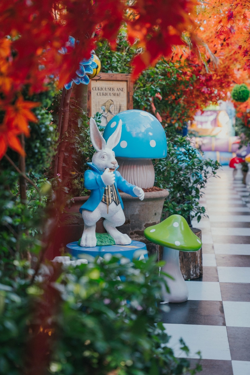 Alice In WonderlandThemed Cafe In Sydney, Australia Mad Hatter High
