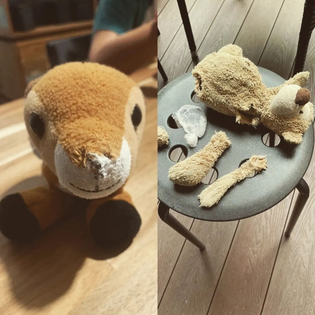 This Soft Toy Hospital In Singapore Will Repair Your Beloved “Chou Chou