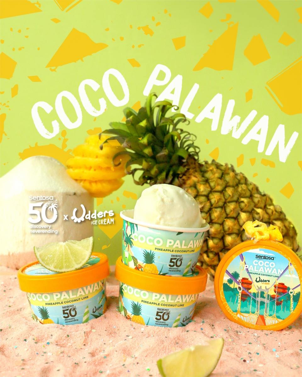 Udders Coco Palawan ice cream