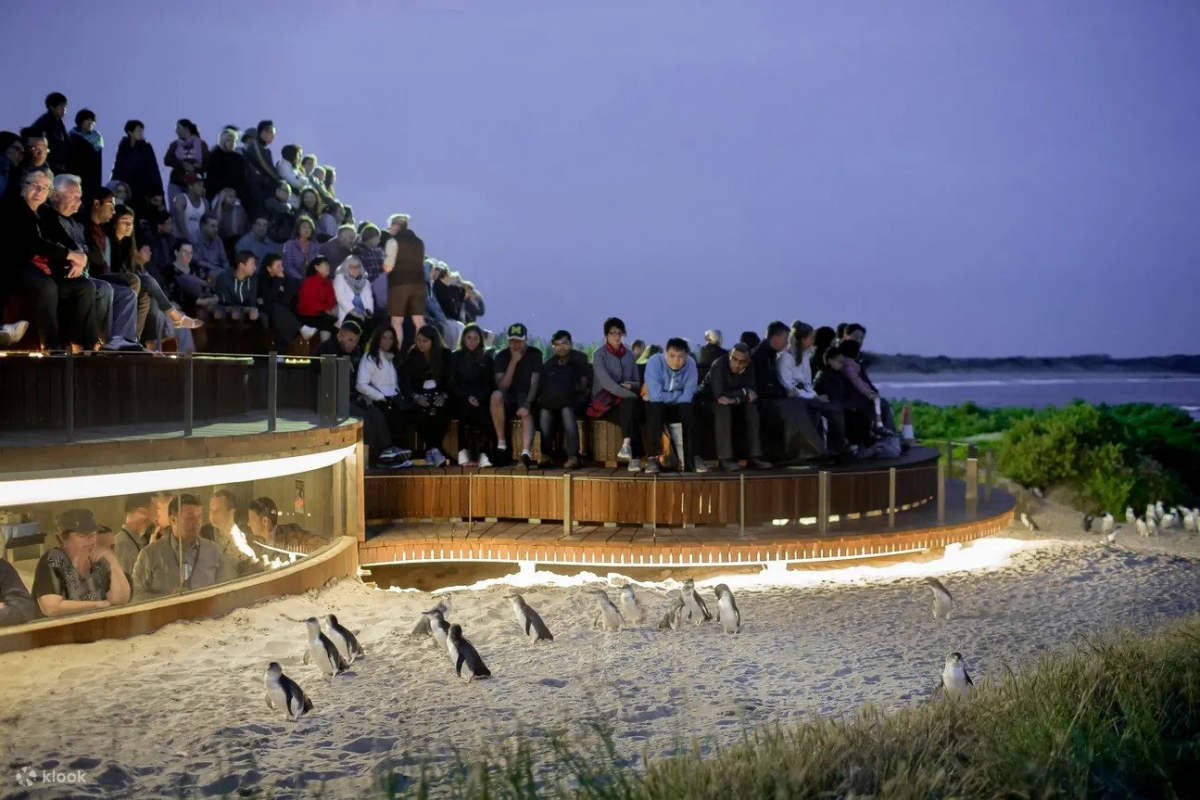 Phillip Island