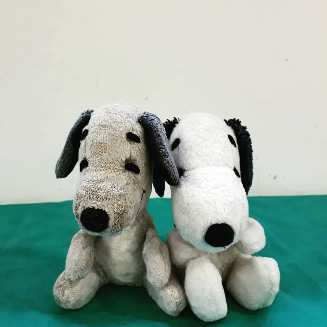 Soft Toy Hospital