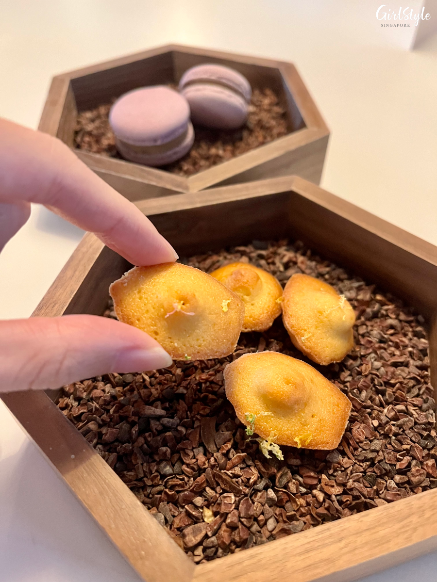 Macarons and madelaines - Ce Soir