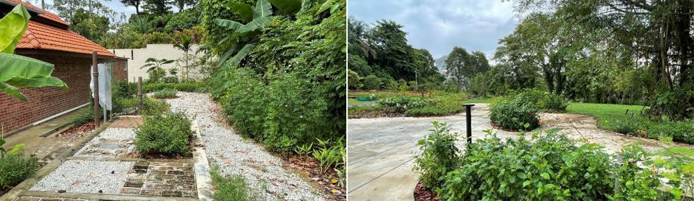 Kampung Garden and Herb & Spice Garden at Bukit Timah Railway Station