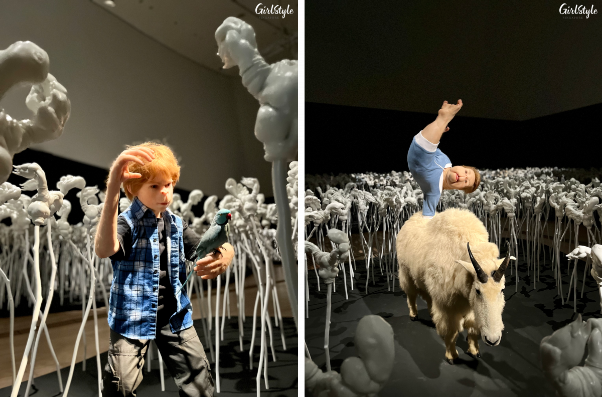The Coup, 2012 and The Strength of One Arm, 2009
