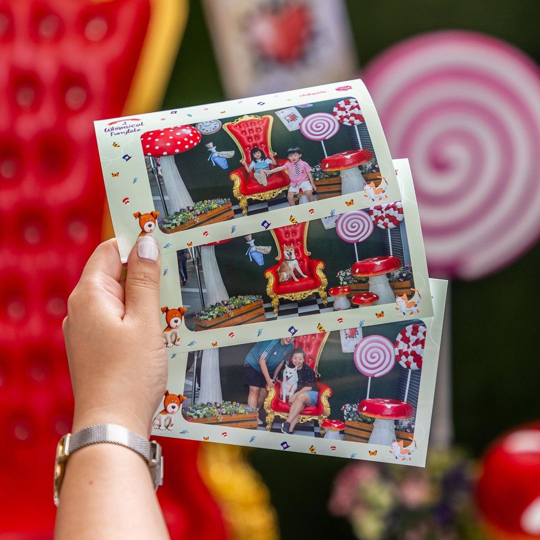 Alice in Wonderland-themed photo printouts
