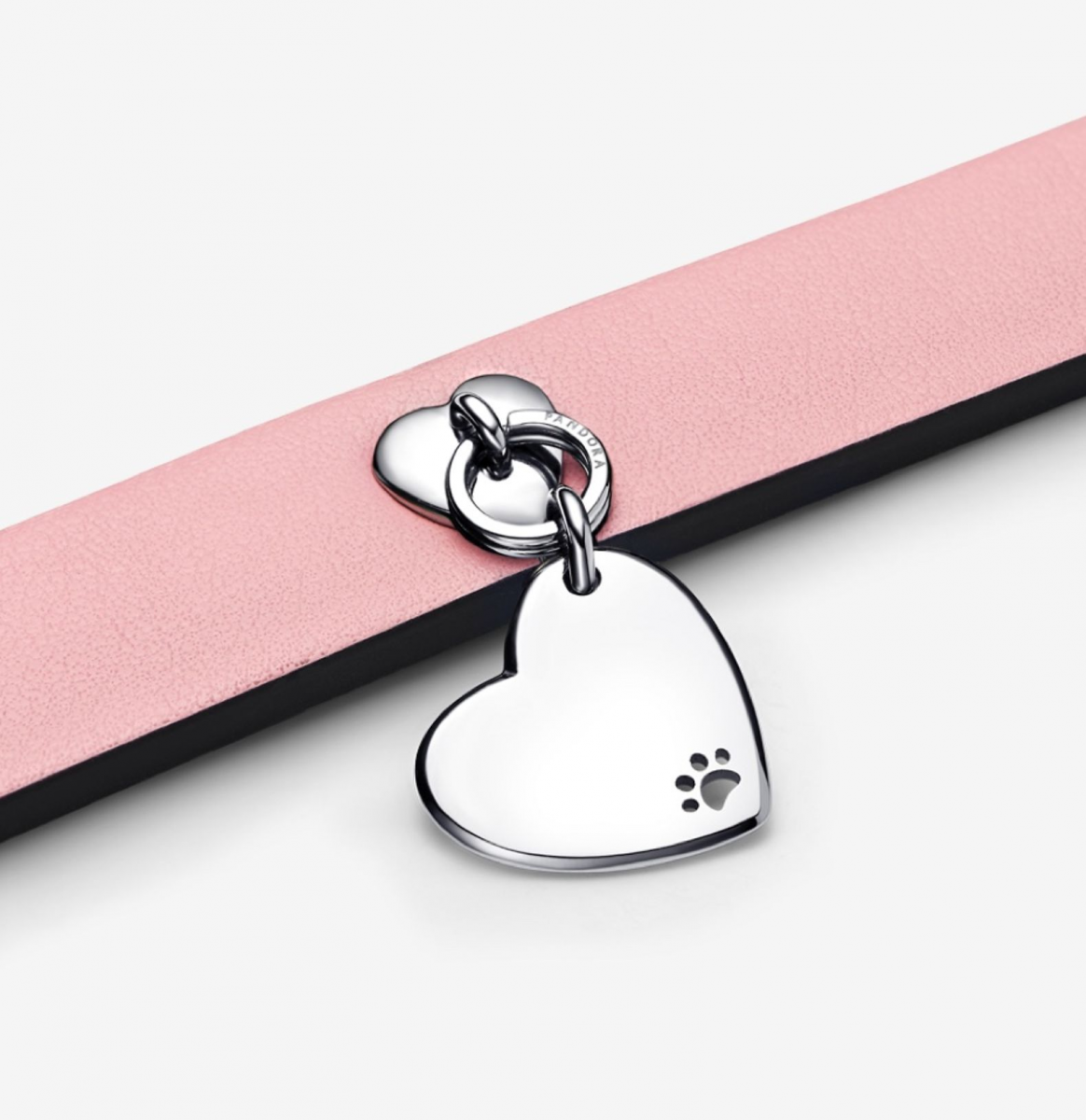 Pandora's Pet Collection Pet Collars & Engravable Charm Tags