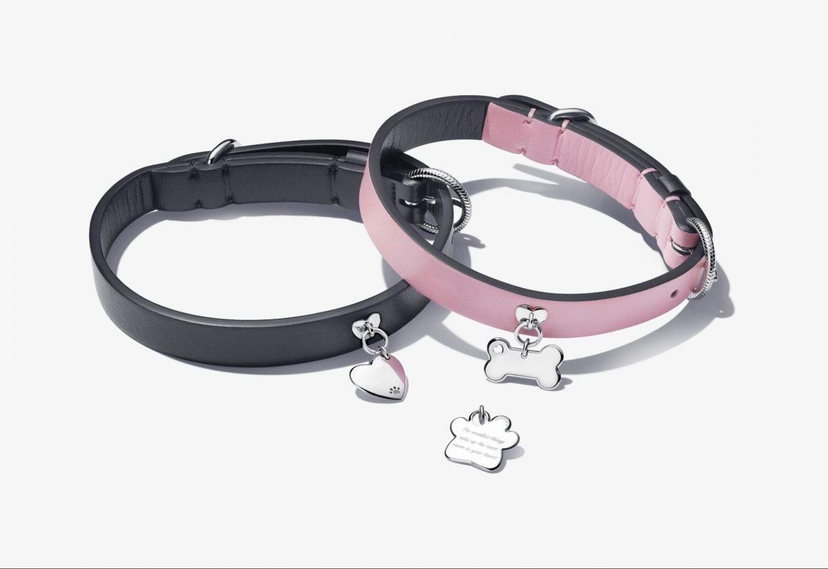 Pandora pet collars in Singapore