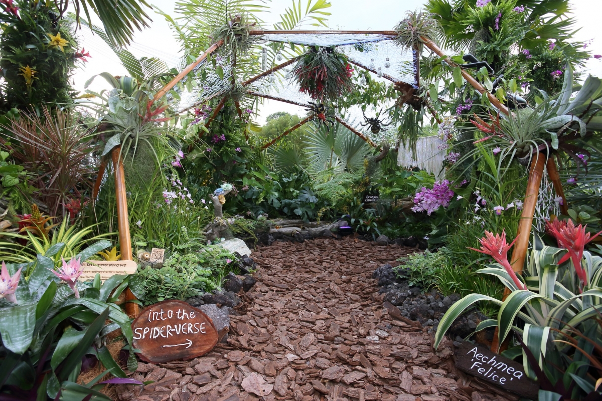 Epiphyte Haven by South East District