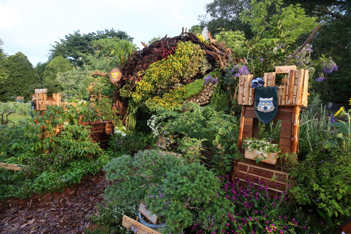 By Royal Bee-cree by Central Singapore District