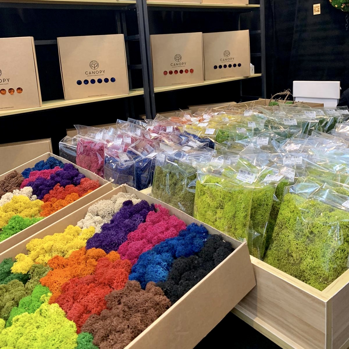 MarketPlace at Tyersall Coach Park - Singapore Garden Festival 2022