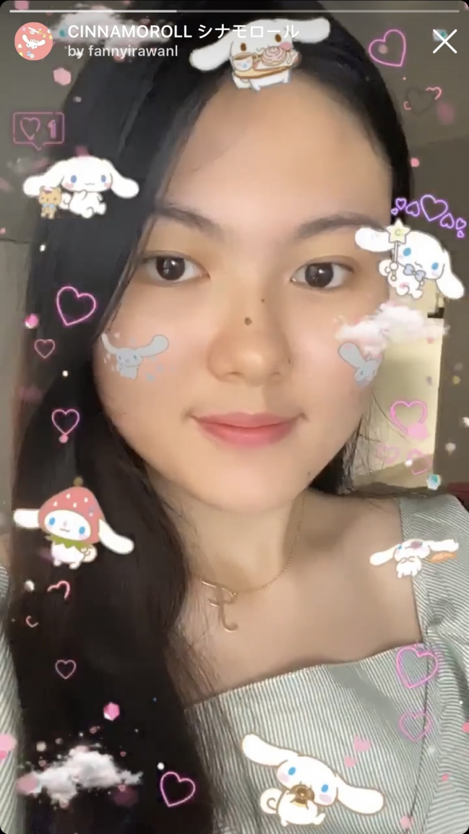 Cinnamoroll Instagram Stories Filter