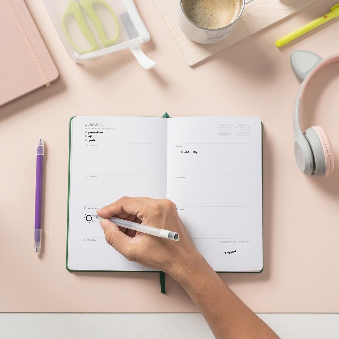 Starbucks x The Paper Bunny