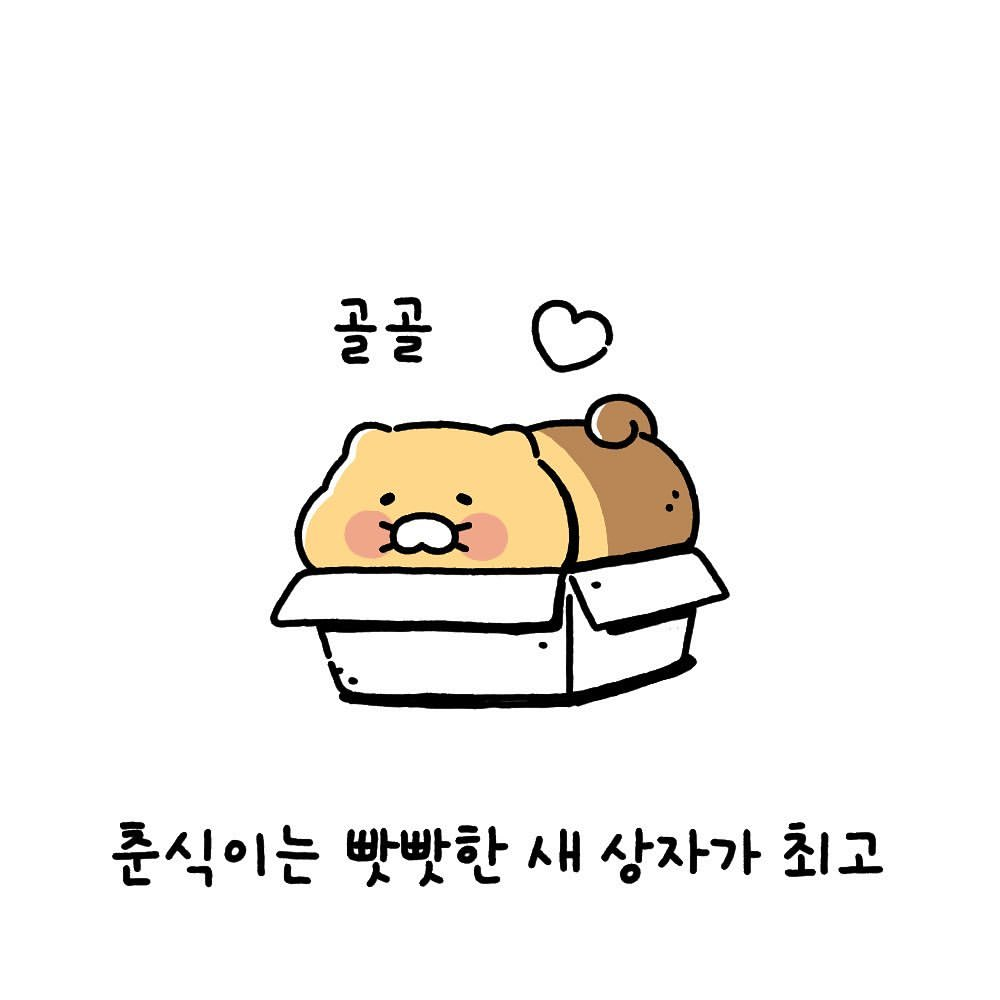 Choonsik from KAKAO FRIENDS