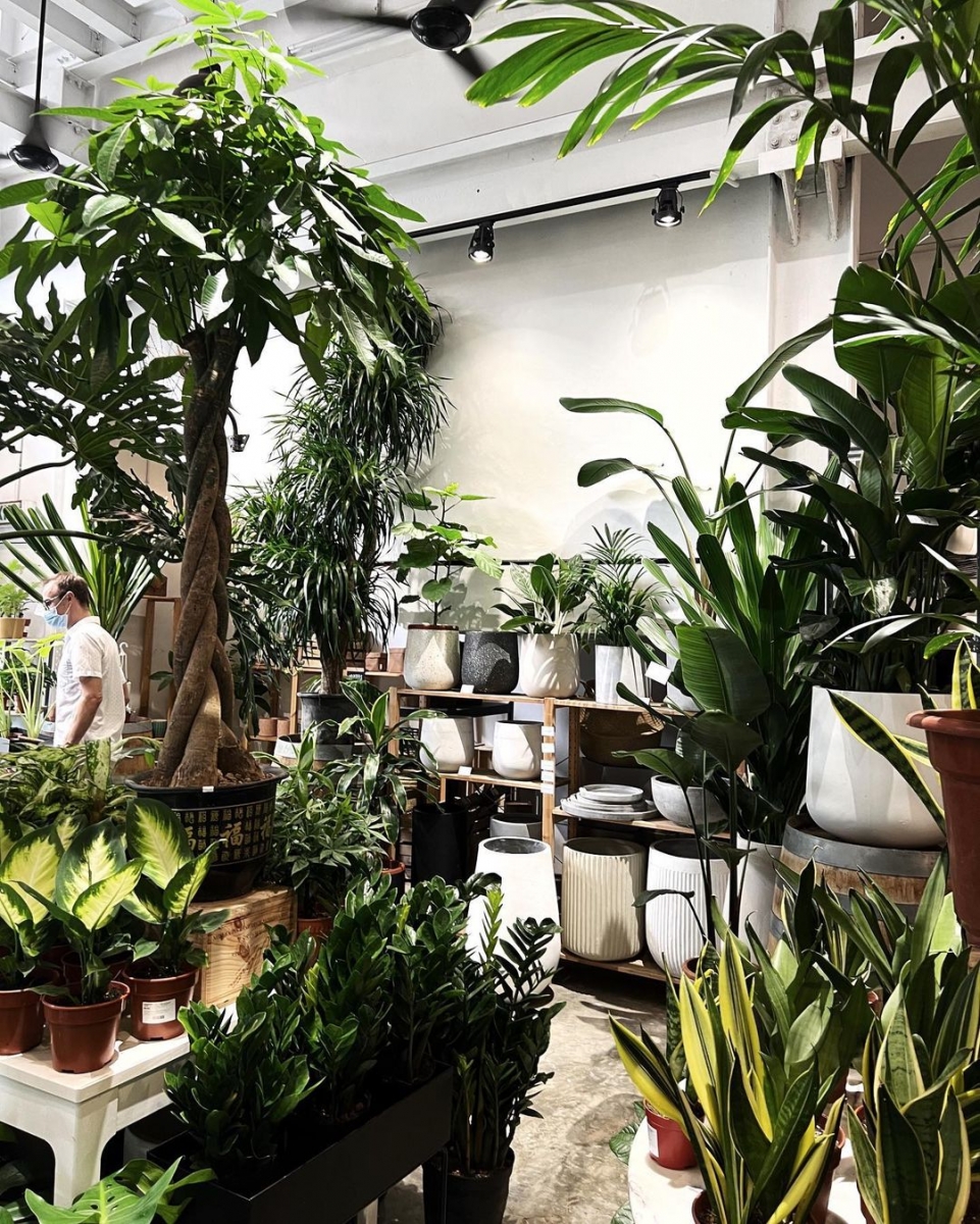 The Nursery Cafe & Bar Nursery, Cafes in Singapore