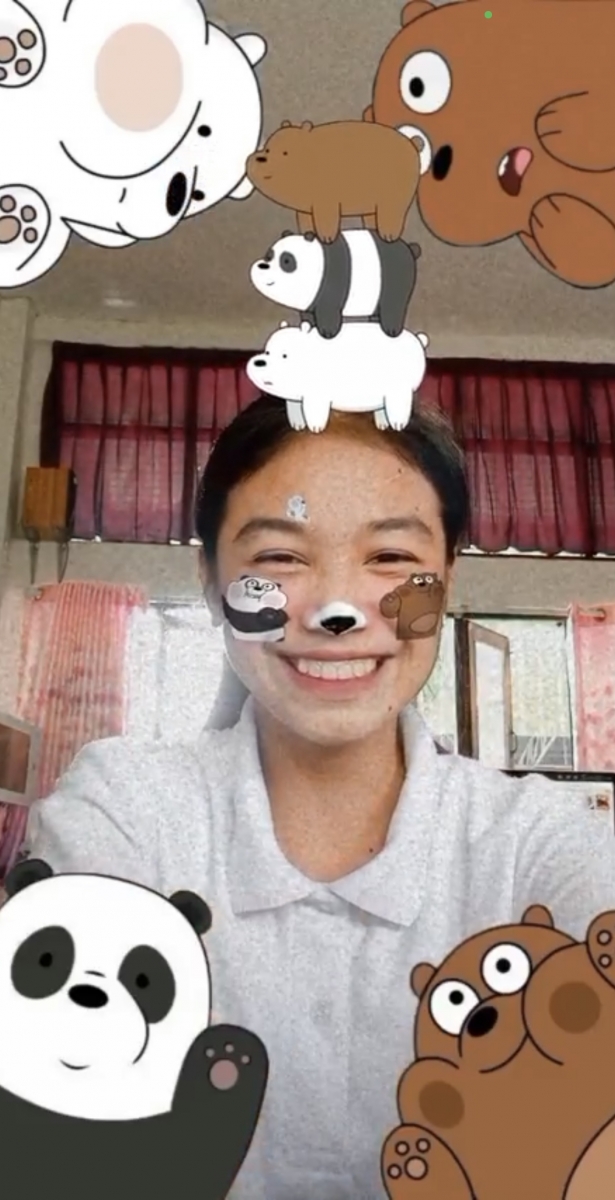 We Bare Bears Instagram Stories Filter