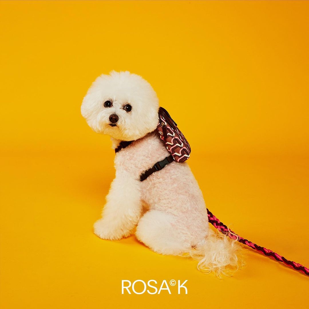 Musinsa Singapore - Rosa.K