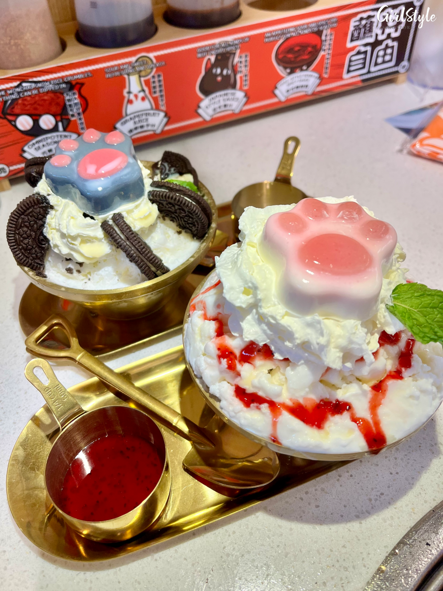 Black & White Cat Snow Ice