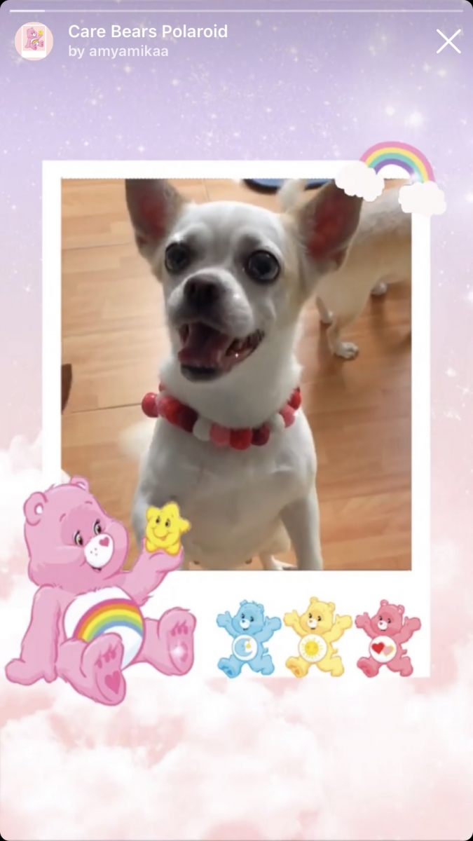 Care Bears Instagram Stories Filter