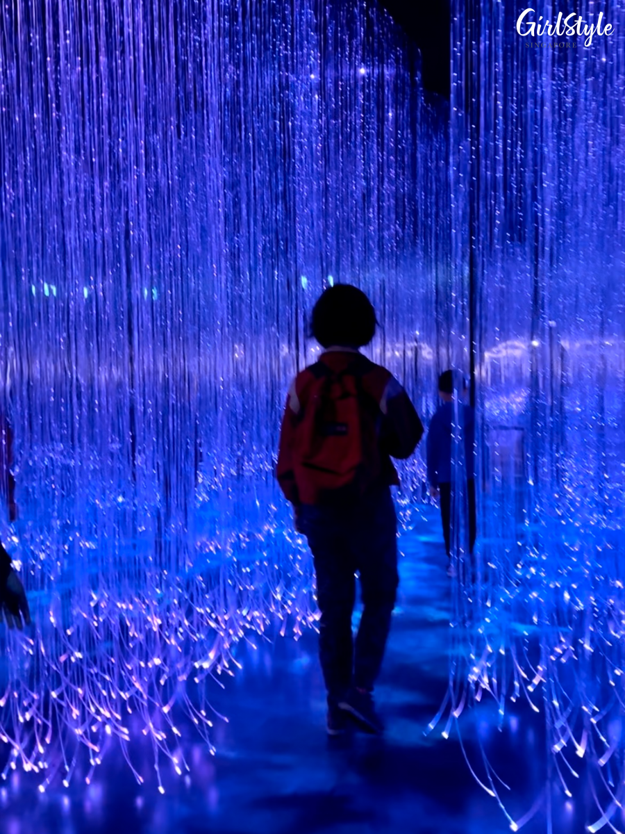 Tree of Souls - Avatar The Experience