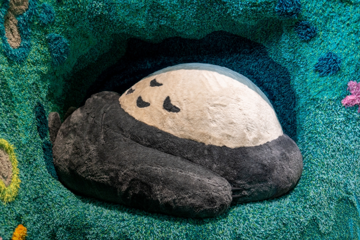 Sleeping Totoro