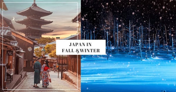 7 Best Things To Do In Japan During The Autumn & Winter Seasons