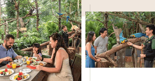 New Breakfast In The Wild Buffet At Singapore Zoo: Interaction With Animals, Photo Ops & More