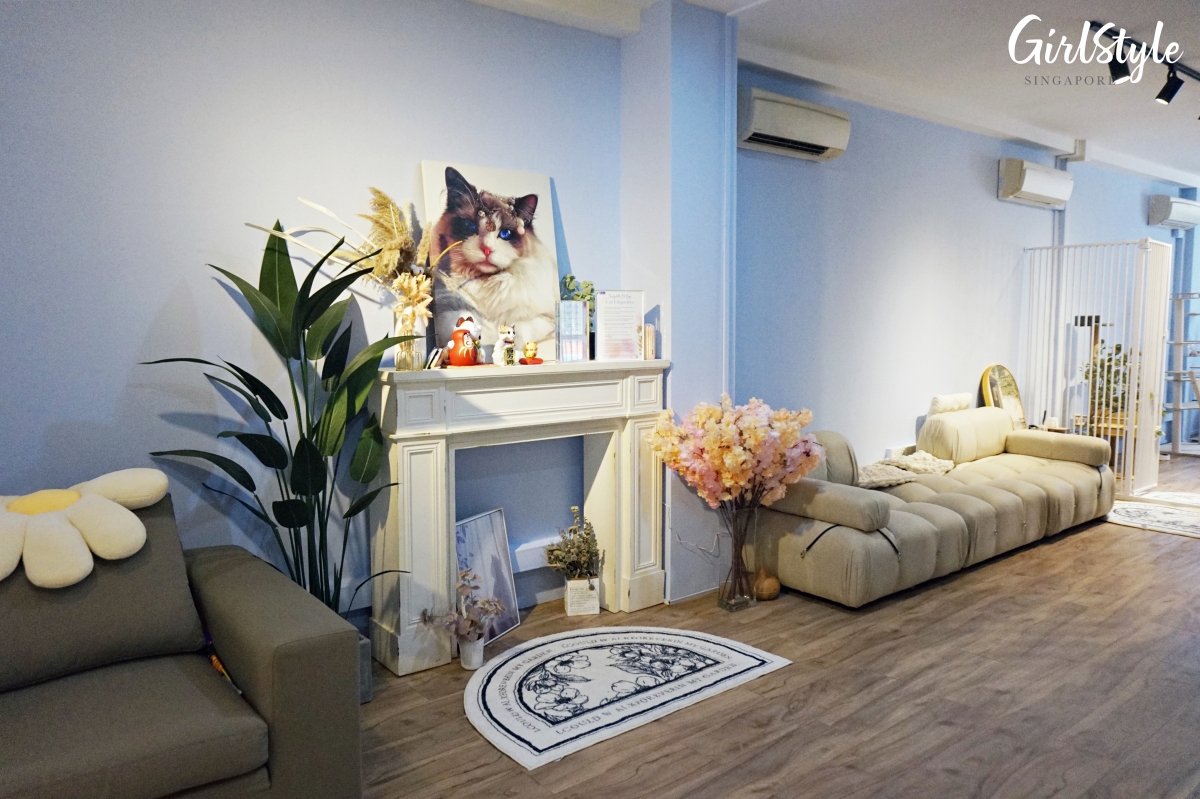 Truly Dolls Ragdoll Cat Cafe in Singapore