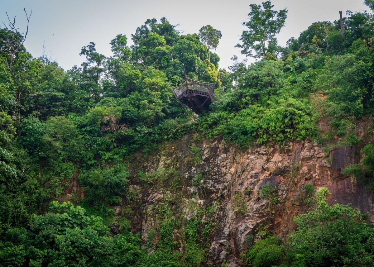 Colugo Deck at Rifle Range Nature Park