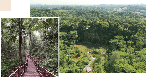 Rifle Range Nature Park Reopens With 7km Of Boardwalks & Trails, Wetlands, Viewing Decks