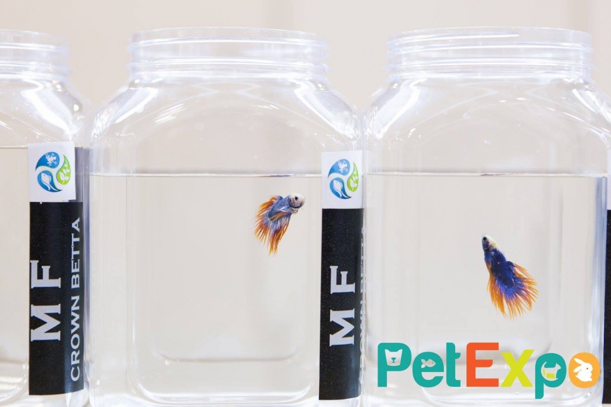 PetExpo