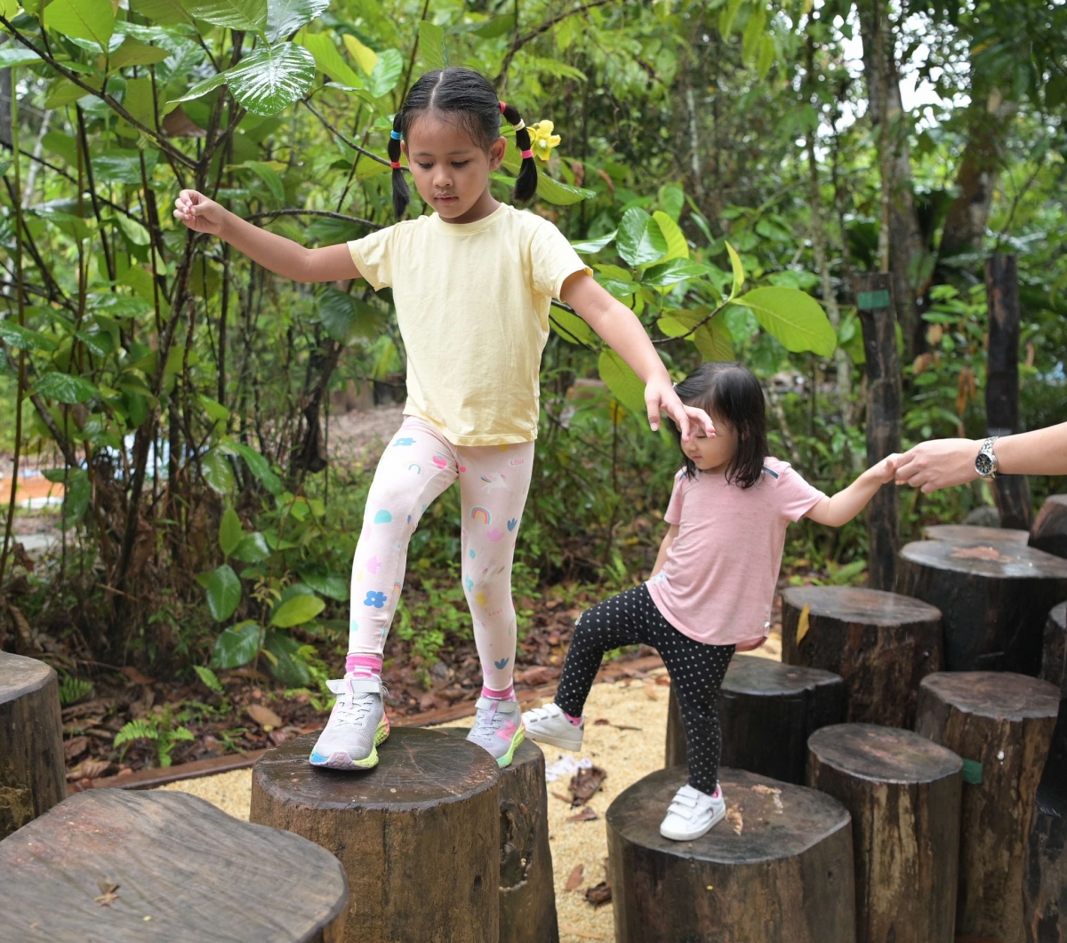 Forest Exploration Trail at Rifle Range Nature Park