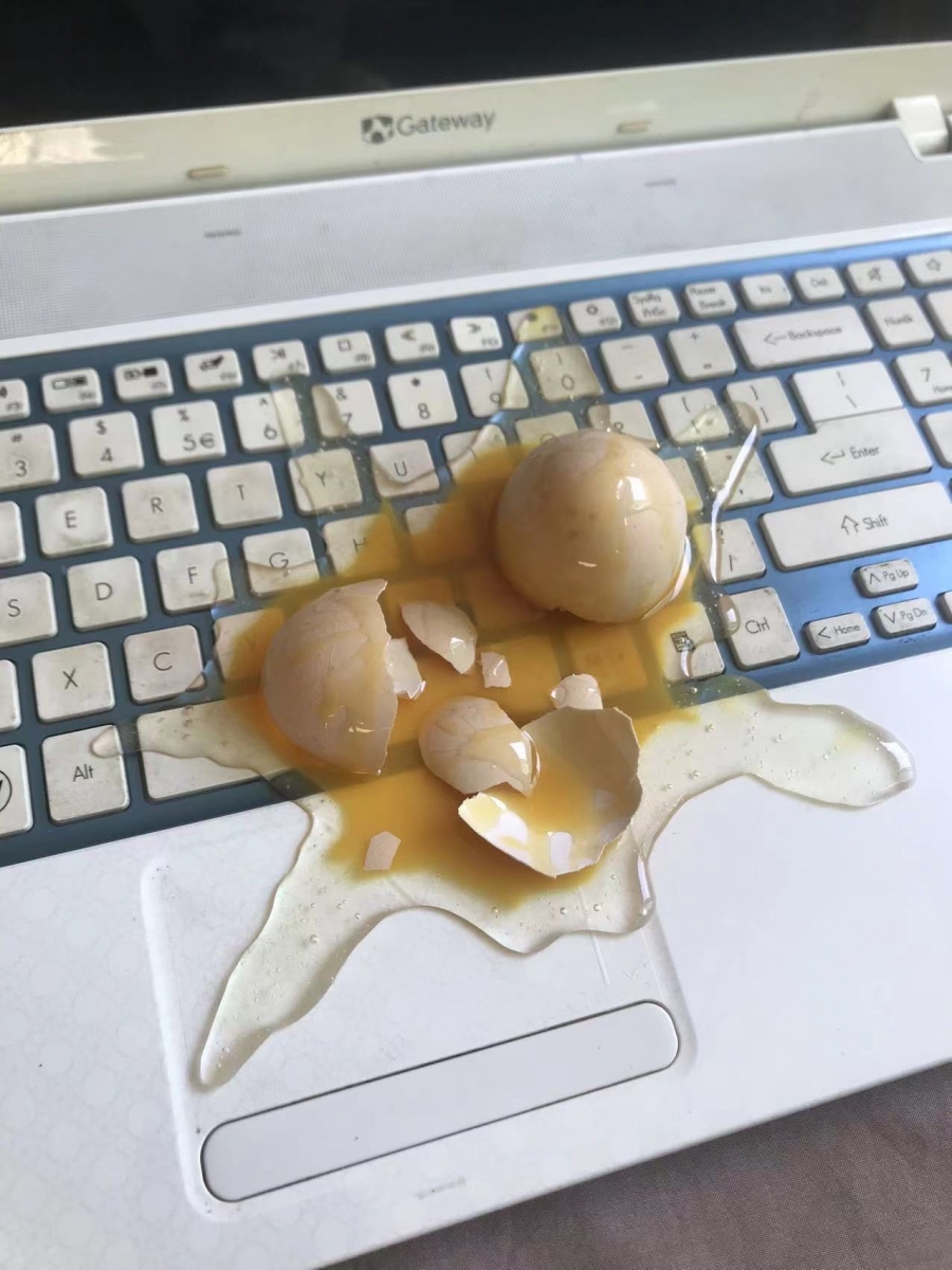 Cracked egg phone stand