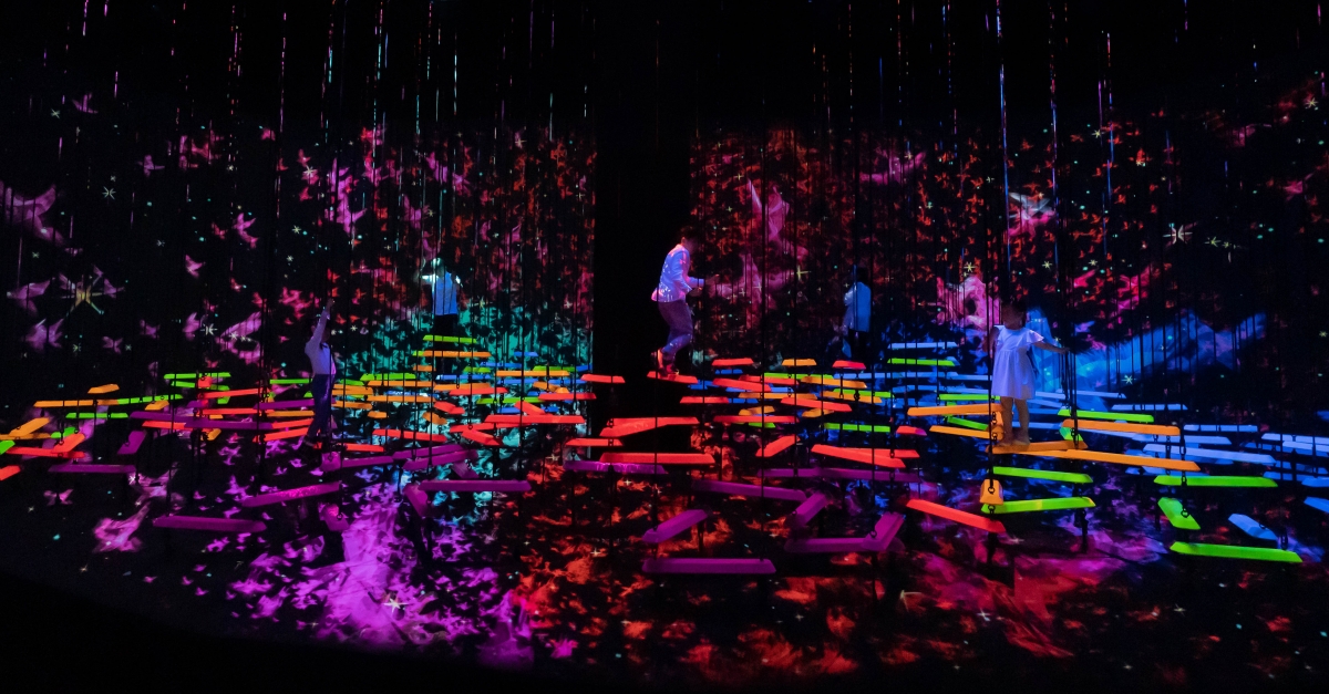 Aerial Climbing Through A Flock of Colored Birdst - Future World at ArtScience Museum