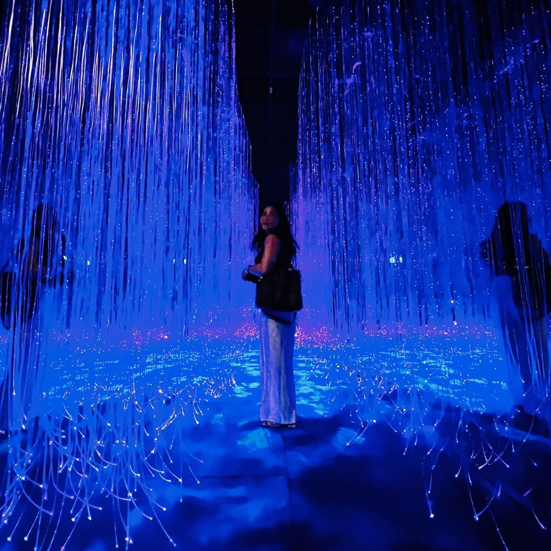 Avatar: The Experience