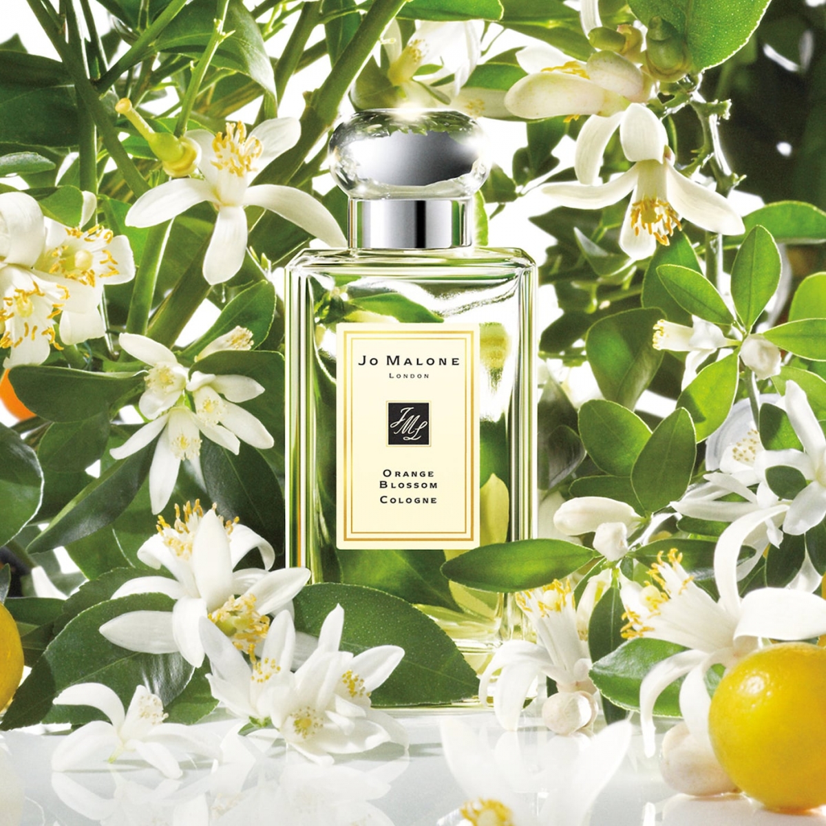 Jo Malone London - Orange Blossom Cologne