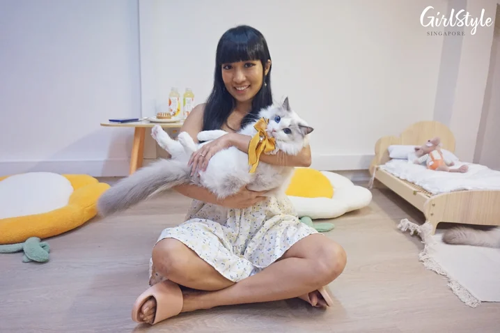 Truly Dolls Ragdoll Cat Cafe in Singapore