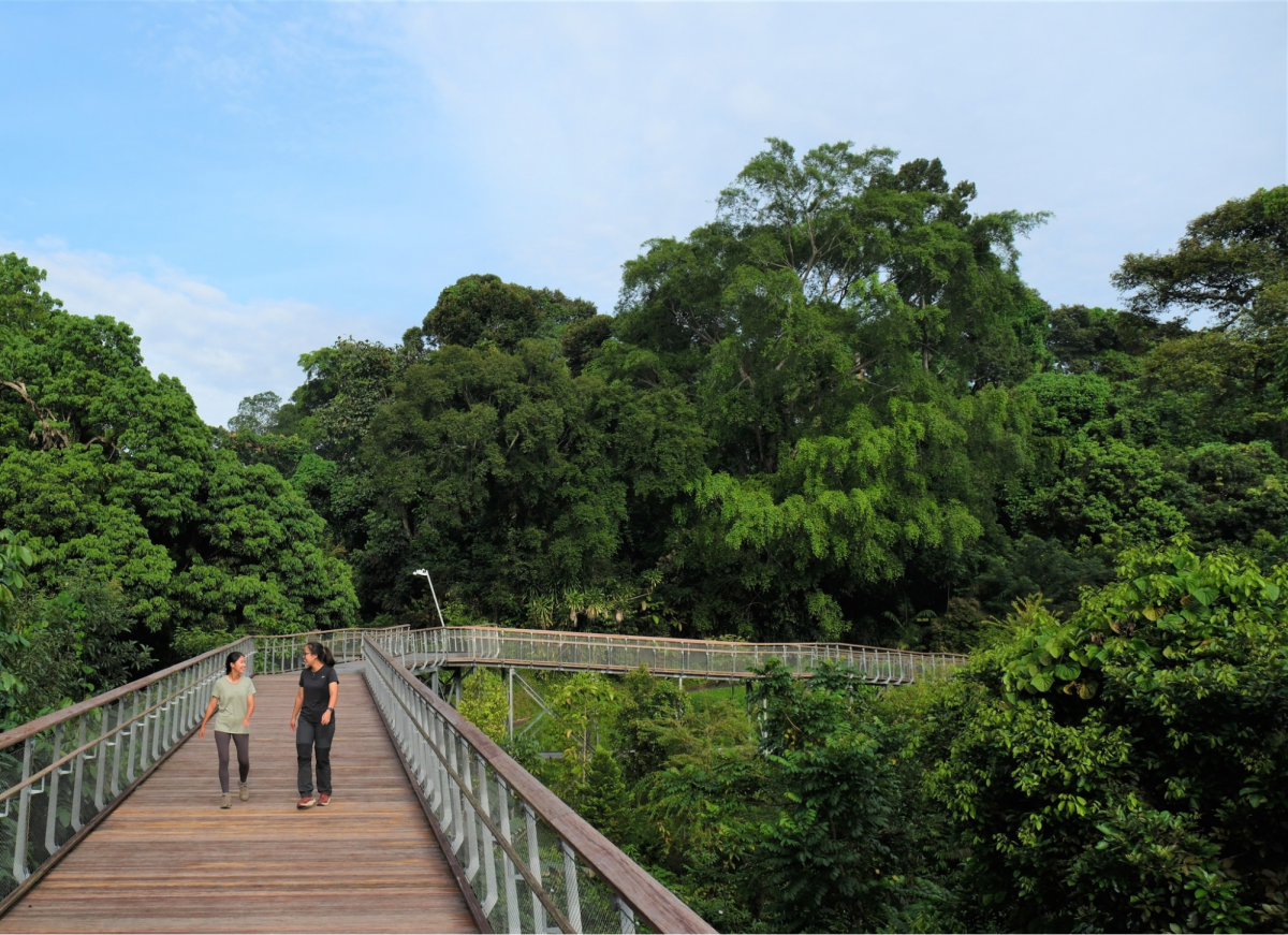Rifle Range Nature Park Singapore