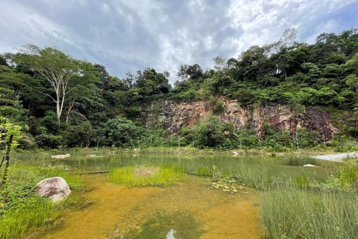 Rifle Range Nature Park Singapore