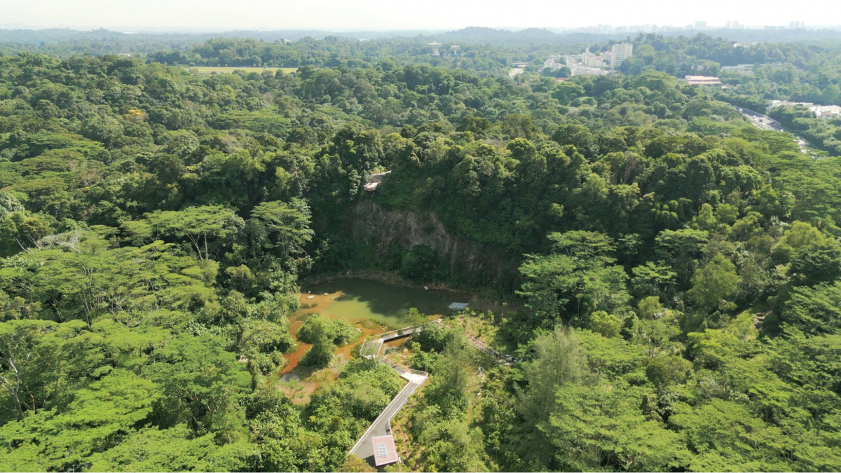 Rifle Range Nature Park Singapore