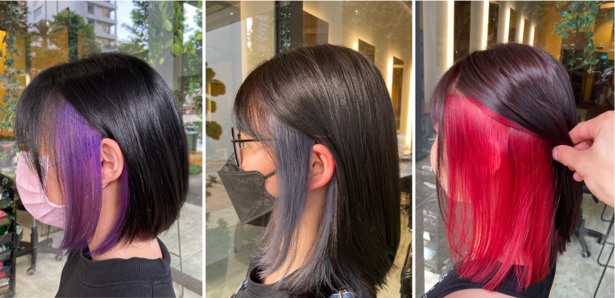 The hidden hair colour is perfect for those who want a bold yet subtly adventurous look.