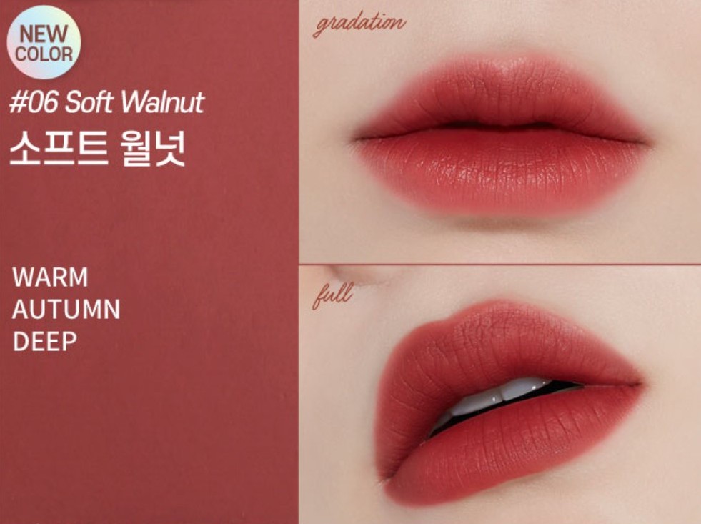 Etude House Fixing Tint Lipstick in Soft Walnut